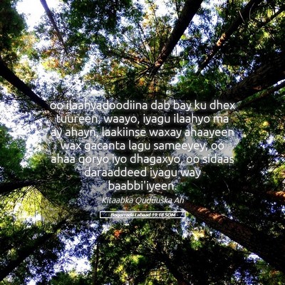Picture 05 - Boqorradii Labaad 19:18 SOM - oo ilaahyadoodiina dab bay ku dhex tuureen, - Bible Verse Picture