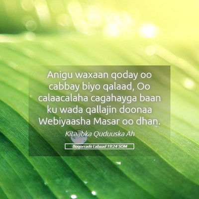Picture 05 - Boqorradii Labaad 19:24 SOM - Anigu waxaan qoday oo cabbay biyo qalaad, Oo - Bible Verse Picture