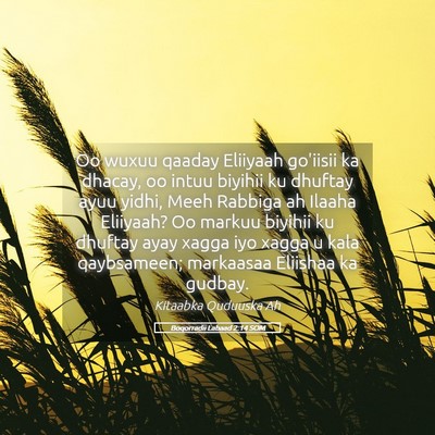 Picture 05 - Boqorradii Labaad 2:14 SOM - Oo wuxuu qaaday Eliiyaah go'iisii ka dhacay, oo - Bible Verse Picture