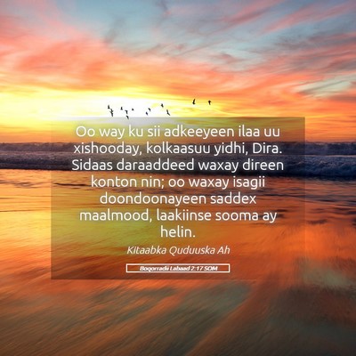 Picture 05 - Boqorradii Labaad 2:17 SOM - Oo way ku sii adkeeyeen ilaa uu xishooday, - Bible Verse Picture