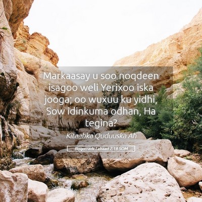 Picture 05 - Boqorradii Labaad 2:18 SOM - Markaasay u soo noqdeen isagoo weli Yerixoo iska - Bible Verse Picture