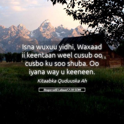 Picture 05 - Boqorradii Labaad 2:20 SOM - Isna wuxuu yidhi, Waxaad ii keentaan weel cusub - Bible Verse Picture