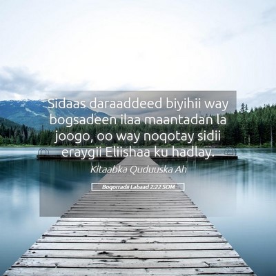 Picture 05 - Boqorradii Labaad 2:22 SOM - Sidaas daraaddeed biyihii way bogsadeen ilaa - Bible Verse Picture