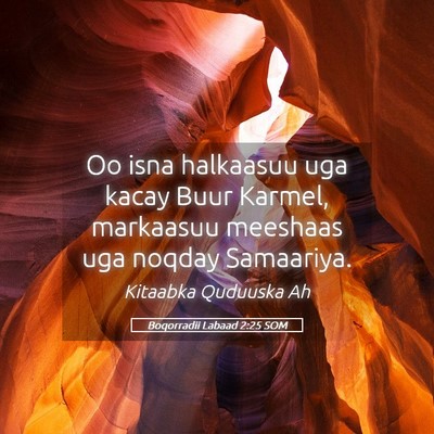Picture 05 - Boqorradii Labaad 2:25 SOM - Oo isna halkaasuu uga kacay Buur Karmel, - Bible Verse Picture