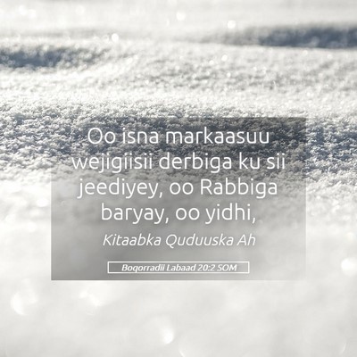 Picture 05 - Boqorradii Labaad 20:2 SOM - Oo isna markaasuu wejigiisii derbiga ku sii - Bible Verse Picture