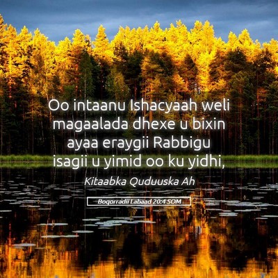Picture 05 - Boqorradii Labaad 20:4 SOM - Oo intaanu Ishacyaah weli magaalada dhexe u bixin - Bible Verse Picture