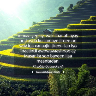 Picture 05 - Boqorradii Labaad 21:15 SOM - maxaa yeelay, wax shar ah ayay hortayda ku samayn - Bible Verse Picture