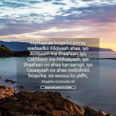 Picture 05 - Boqorradii Labaad 22:12 SOM - Markaasaa boqorkii amray wadaadkii Xilqiyaah - Bible Verse Picture