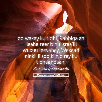 Picture 05 - Boqorradii Labaad 22:15 SOM - oo waxay ku tidhi, Rabbiga ah Ilaaha reer binu - Bible Verse Picture