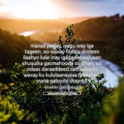 Picture 05 - Boqorradii Labaad 22:17 SOM - maxaa yeelay, iyagu way iga tageen, oo waxay foox - Bible Verse Picture