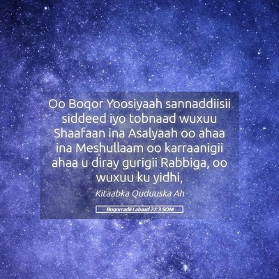 Picture 05 - Boqorradii Labaad 22:3 SOM - Oo Boqor Yoosiyaah sannaddiisii siddeed iyo - Bible Verse Picture