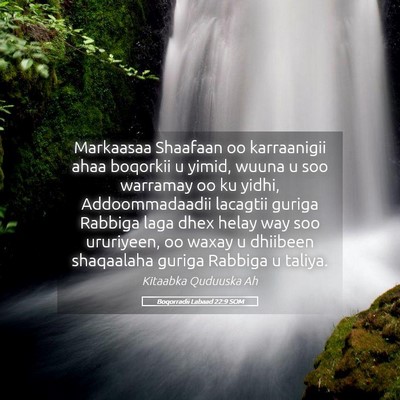 Picture 05 - Boqorradii Labaad 22:9 SOM - Markaasaa Shaafaan oo karraanigii ahaa boqorkii u - Bible Verse Picture