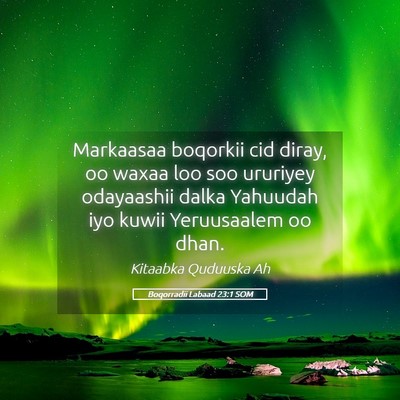 Picture 05 - Boqorradii Labaad 23:1 SOM - Markaasaa boqorkii cid diray, oo waxaa loo soo - Bible Verse Picture