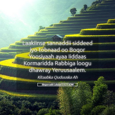 Picture 05 - Boqorradii Labaad 23:23 SOM - Laakiinse sannaddii siddeed iyo tobnaad oo Boqor - Bible Verse Picture