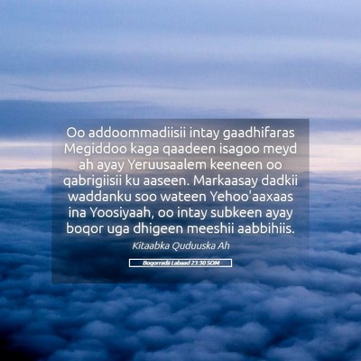 Picture 05 - Boqorradii Labaad 23:30 SOM - Oo addoommadiisii intay gaadhifaras Megiddoo kaga - Bible Verse Picture