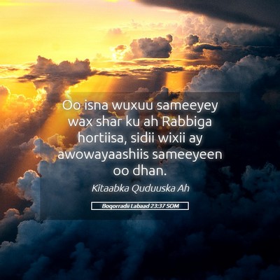 Picture 05 - Boqorradii Labaad 23:37 SOM - Oo isna wuxuu sameeyey wax shar ku ah Rabbiga - Bible Verse Picture