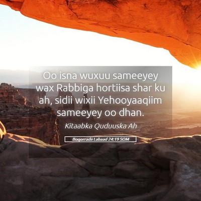Picture 05 - Boqorradii Labaad 24:19 SOM - Oo isna wuxuu sameeyey wax Rabbiga hortiisa shar - Bible Verse Picture