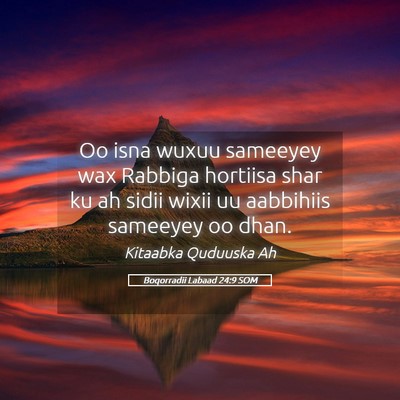 Picture 05 - Boqorradii Labaad 24:9 SOM - Oo isna wuxuu sameeyey wax Rabbiga hortiisa shar - Bible Verse Picture