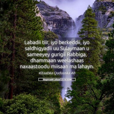 Picture 05 - Boqorradii Labaad 25:16 SOM - Labadii tiir, iyo berkeddii, iyo saldhigyadii uu - Bible Verse Picture