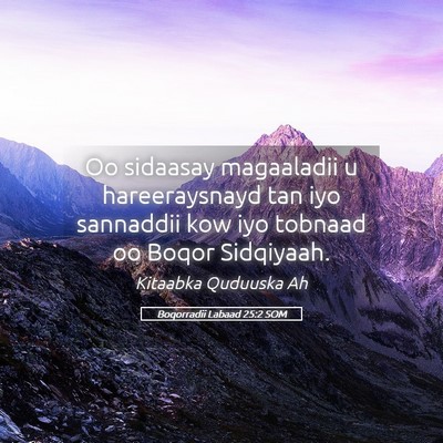 Picture 05 - Boqorradii Labaad 25:2 SOM - Oo sidaasay magaaladii u hareeraysnayd tan iyo - Bible Verse Picture
