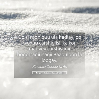 Picture 05 - Boqorradii Labaad 25:28 SOM - Oo si roon buu ula hadlay, oo wuxuu carshigiisii - Bible Verse Picture