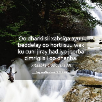 Picture 05 - Boqorradii Labaad 25:29 SOM - Oo dharkiisii xabsiga ayuu beddelay oo hortiisuu - Bible Verse Picture