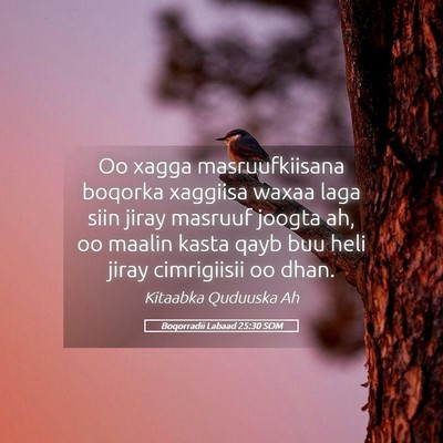 Picture 05 - Boqorradii Labaad 25:30 SOM - Oo xagga masruufkiisana boqorka xaggiisa waxaa - Bible Verse Picture