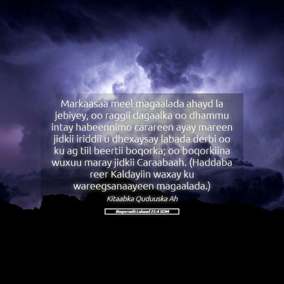 Picture 05 - Boqorradii Labaad 25:4 SOM - Markaasaa meel magaalada ahayd la jebiyey, oo - Bible Verse Picture