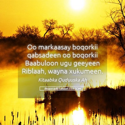 Picture 05 - Boqorradii Labaad 25:6 SOM - Oo markaasay boqorkii qabsadeen oo boqorkii - Bible Verse Picture