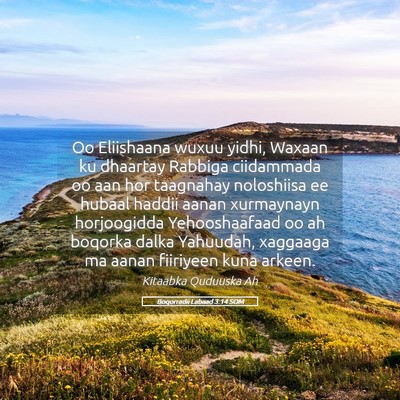 Picture 05 - Boqorradii Labaad 3:14 SOM - Oo Eliishaana wuxuu yidhi, Waxaan ku dhaartay - Bible Verse Picture