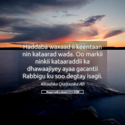 Picture 05 - Boqorradii Labaad 3:15 SOM - Haddaba waxaad ii keentaan nin kataarad wada. Oo - Bible Verse Picture