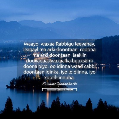 Picture 05 - Boqorradii Labaad 3:17 SOM - Waayo, waxaa Rabbigu leeyahay, Dabayl ma arki - Bible Verse Picture