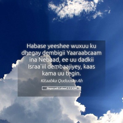 Picture 05 - Boqorradii Labaad 3:3 SOM - Habase yeeshee wuxuu ku dhegay dembigii - Bible Verse Picture