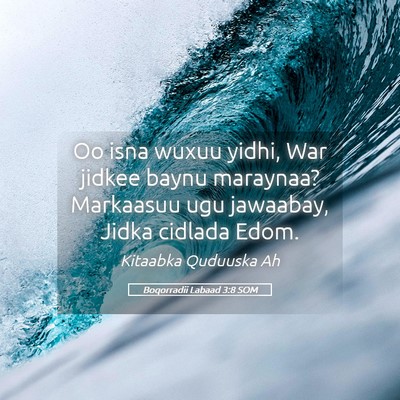 Picture 05 - Boqorradii Labaad 3:8 SOM - Oo isna wuxuu yidhi, War jidkee baynu maraynaa? - Bible Verse Picture