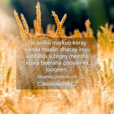 Picture 05 - Boqorradii Labaad 4:18 SOM - Oo wiilkii markuu koray waxaa maalin dhacay inuu - Bible Verse Picture