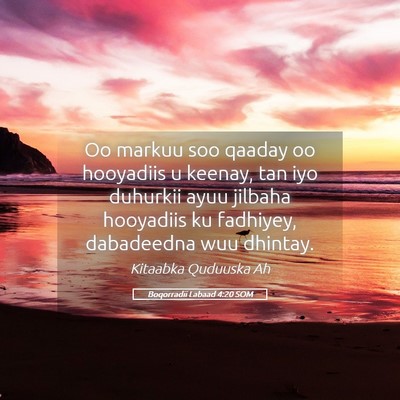 Picture 05 - Boqorradii Labaad 4:20 SOM - Oo markuu soo qaaday oo hooyadiis u keenay, tan - Bible Verse Picture