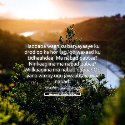 Picture 05 - Boqorradii Labaad 4:26 SOM - Haddaba waan ku baryayaaye ku orod oo ka hor tag, - Bible Verse Picture