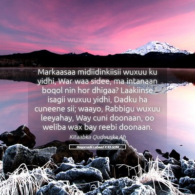 Picture 05 - Boqorradii Labaad 4:43 SOM - Markaasaa midiidinkiisii wuxuu ku yidhi, War waa - Bible Verse Picture