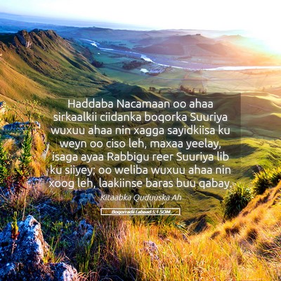 Picture 05 - Boqorradii Labaad 5:1 SOM - Haddaba Nacamaan oo ahaa sirkaalkii ciidanka - Bible Verse Picture