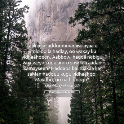 Picture 05 - Boqorradii Labaad 5:13 SOM - Laakiinse addoommadiisii ayaa u yimid oo la - Bible Verse Picture