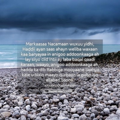 Picture 05 - Boqorradii Labaad 5:17 SOM - Markaasaa Nacamaan wuxuu yidhi, Haddii ayan saas - Bible Verse Picture