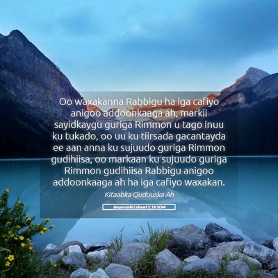 Picture 05 - Boqorradii Labaad 5:18 SOM - Oo waxakanna Rabbigu ha iga cafiyo anigoo - Bible Verse Picture