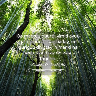 Picture 05 - Boqorradii Labaad 5:24 SOM - Oo markuu buurtii yimid ayuu gacmahoodii ka - Bible Verse Picture