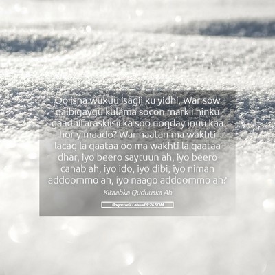 Picture 05 - Boqorradii Labaad 5:26 SOM - Oo isna wuxuu isagii ku yidhi, War sow qalbigaygu - Bible Verse Picture