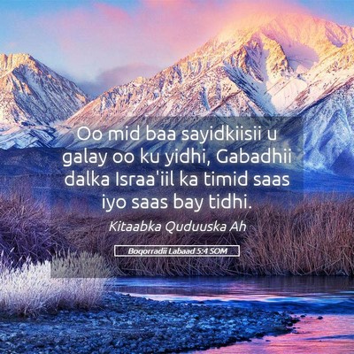 Picture 05 - Boqorradii Labaad 5:4 SOM - Oo mid baa sayidkiisii u galay oo ku yidhi, - Bible Verse Picture