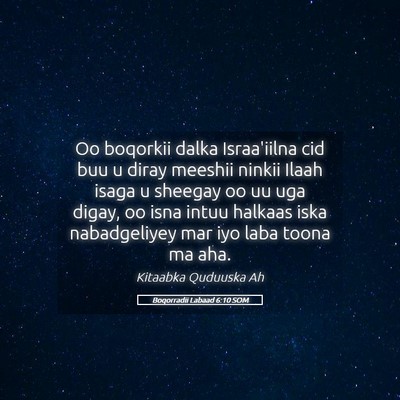 Picture 05 - Boqorradii Labaad 6:10 SOM - Oo boqorkii dalka Israa'iilna cid buu u diray - Bible Verse Picture