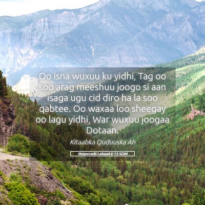Picture 05 - Boqorradii Labaad 6:13 SOM - Oo isna wuxuu ku yidhi, Tag oo soo arag meeshuu - Bible Verse Picture