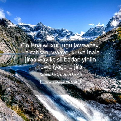 Picture 05 - Boqorradii Labaad 6:16 SOM - Oo isna wuxuu ugu jawaabay, Ha cabsan, waayo, - Bible Verse Picture