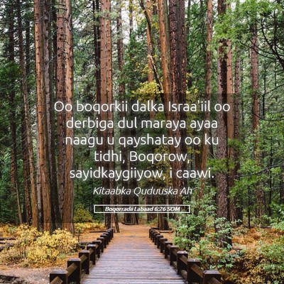 Picture 05 - Boqorradii Labaad 6:26 SOM - Oo boqorkii dalka Israa'iil oo derbiga dul maraya - Bible Verse Picture