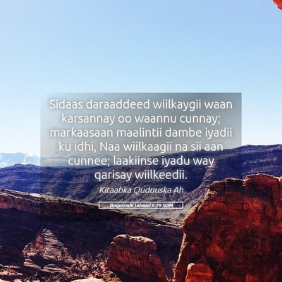 Picture 05 - Boqorradii Labaad 6:29 SOM - Sidaas daraaddeed wiilkaygii waan karsannay oo - Bible Verse Picture
